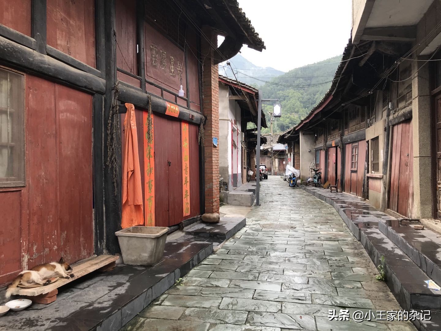 大山里，有一趟可以赶集的绿皮车|8361次汉中—阳平关