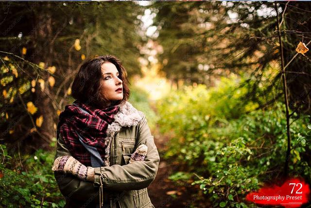 lightroom风格预设官方,lightroom日系预设