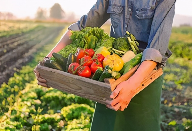 卫龙辣条700亿估值背后的隐忧,卫龙辣条的商业模式画布