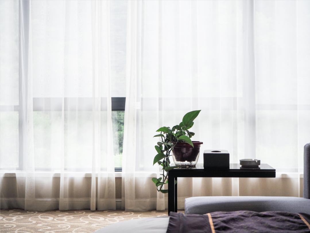 黄陵森林公园哪里好玩,黄陵国家森林公园游玩项目花费