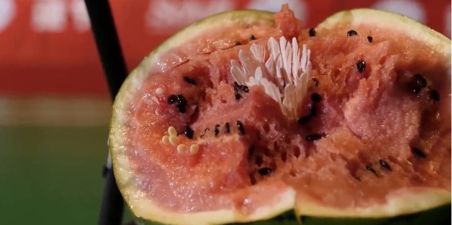 球类运动最高时速493公里,球类运动里瞬时速度最快的