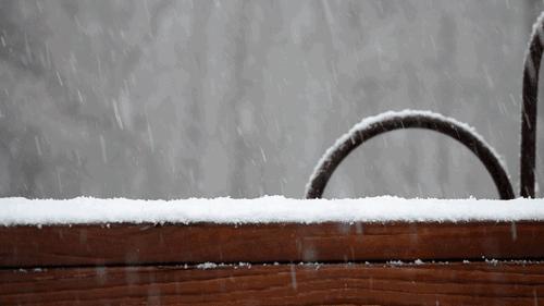 陈宝璐散文人生风景在路上,陈宝璐散文作家照片