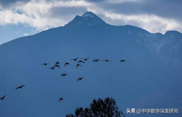鐗㈤獨澶洓闃茶偁鏂鐗╅暱瀹滄斁鐪奸噺,椋庣墿闀垮疁鏀剧溂閲忕墷楠氬お鐩涢槻鑲犳柇