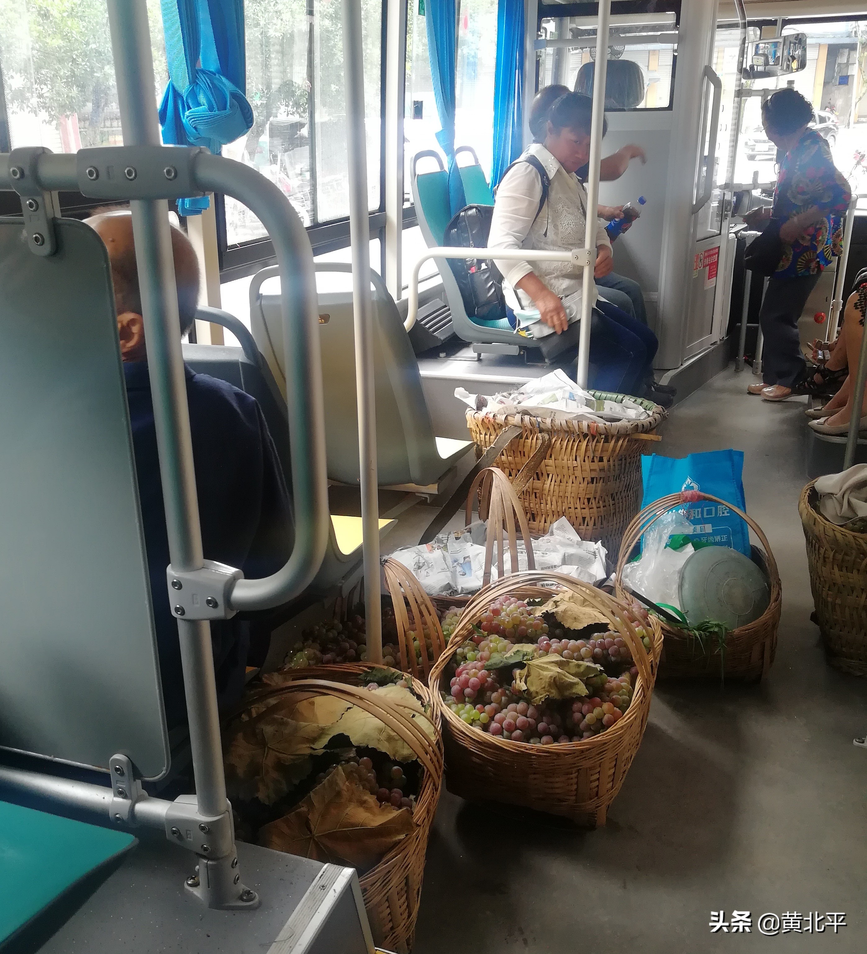 璧山丹凤镇,重庆市丹凤镇