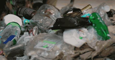 彭于晏苏有朋,彭于晏和苏有朋