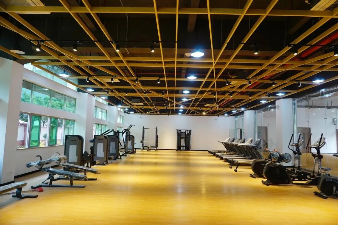 PK海内外学霸，狂揽藤校！看完这群深圳娃的日常，终于知道差哪了