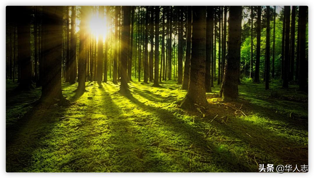 中国地主在新西兰:有人坐拥万顷良田,有人卖掉北京房,牧马放羊