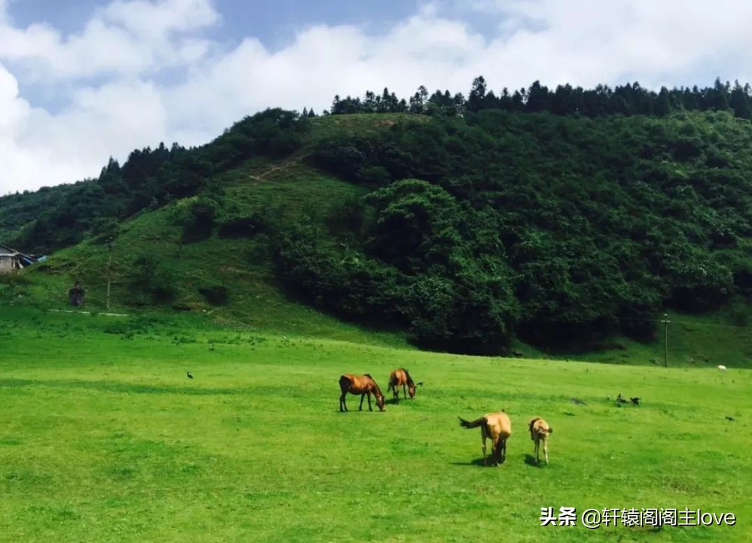 旅行回来想分手了,出去玩一趟回来分手