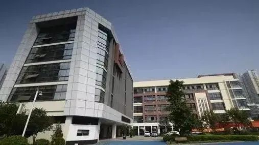 三大教育集团,郑州3大教育集团