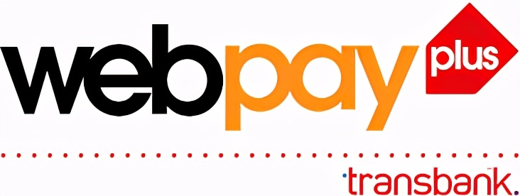 进口电商支付模式,电商蓝海类项目