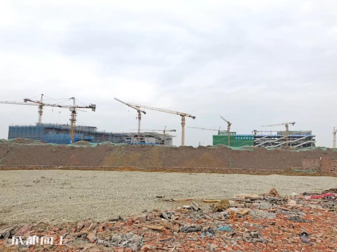 成都2024年火爆项目,巨变前夜智能网联汽车