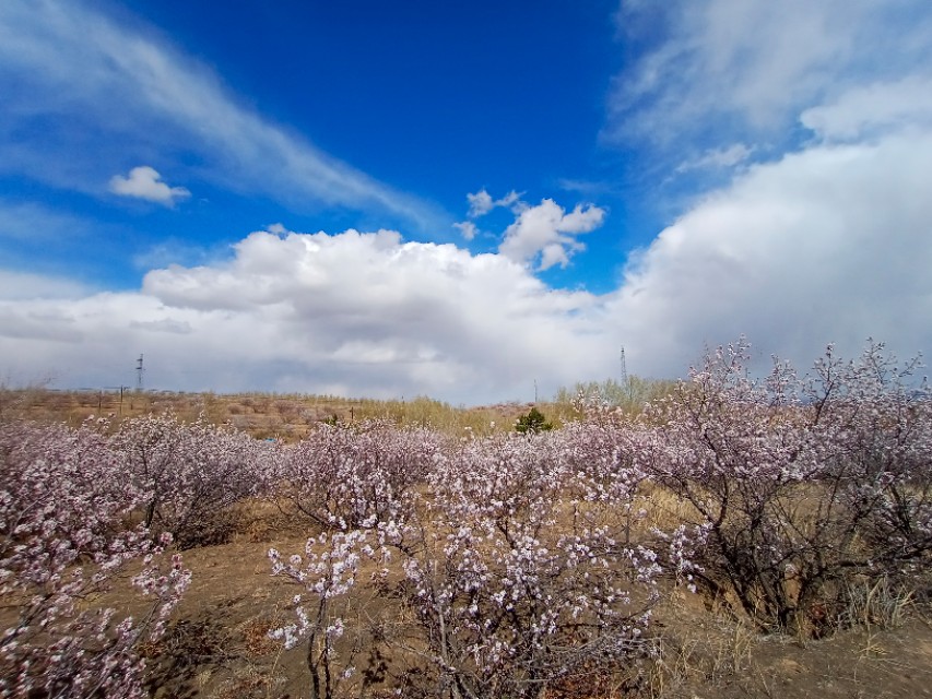 浮云电影,浮云散邓丽君原唱视频