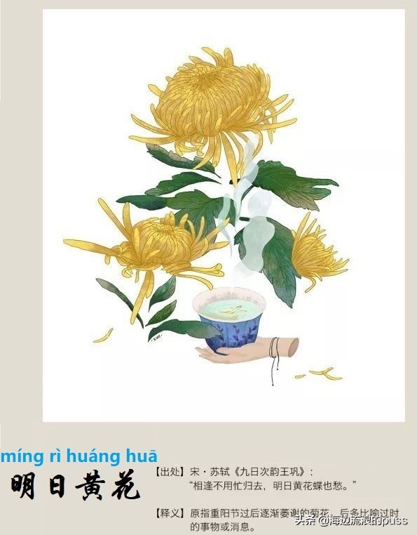 易读错的成语100个字,最容易读错的成语总汇