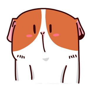 乐华七子next北京台春晚采访,猪八戒马德华猪年视频