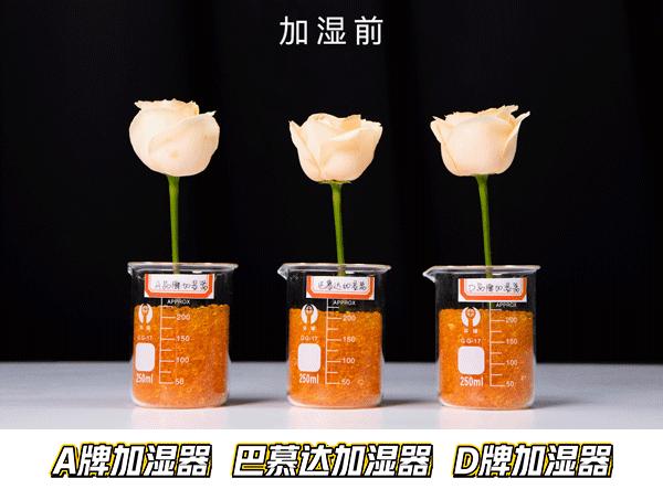 巴慕达rain加湿器,巴慕达Rain加湿器功能讲解