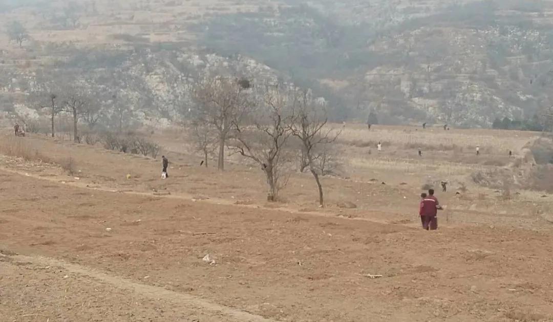 邯郸磁县大红脑村：柴书记！全村百姓要跟着你干下去