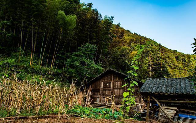 半个重庆人的感受,重庆游玩四面山到哪里玩