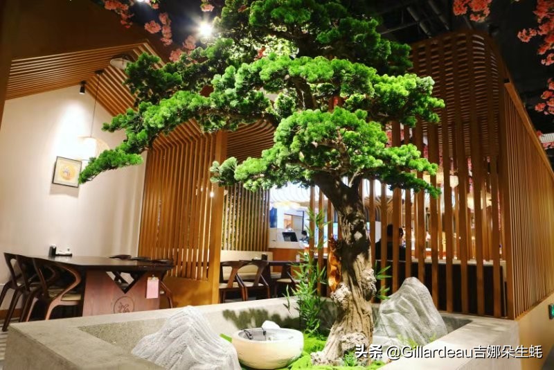 吉娜朵松子料理：在全面营业的日料店里，蚝自由地吃起来