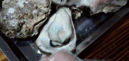 比顺德潮汕还生猛!广东这座小城又撩又骚,现在去正是好时机