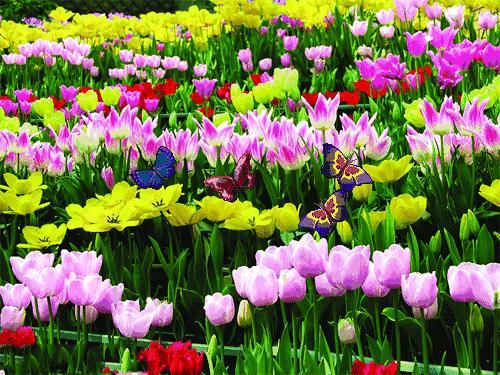 春之声创编作品简单好看,春之声王蒙读后感