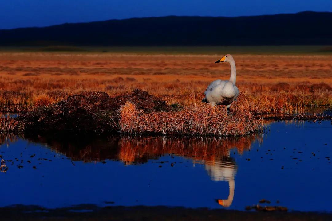 塔城最好旅游季节,塔城好去处