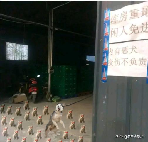 不开心的时候出去看看风景吧,不开心的时候就去逛逛街