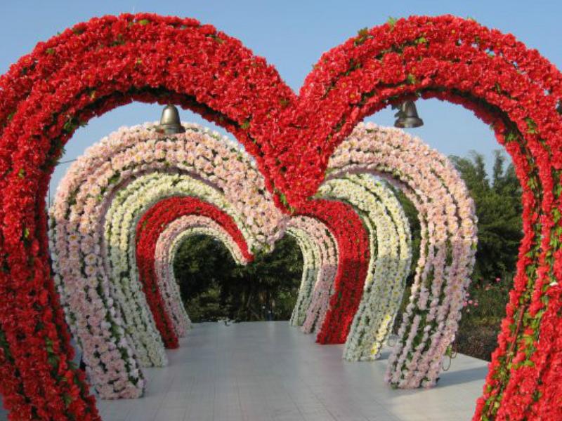 神秘而又美好的百万葵园，是游客们的童话城堡，竟藏于广州南沙