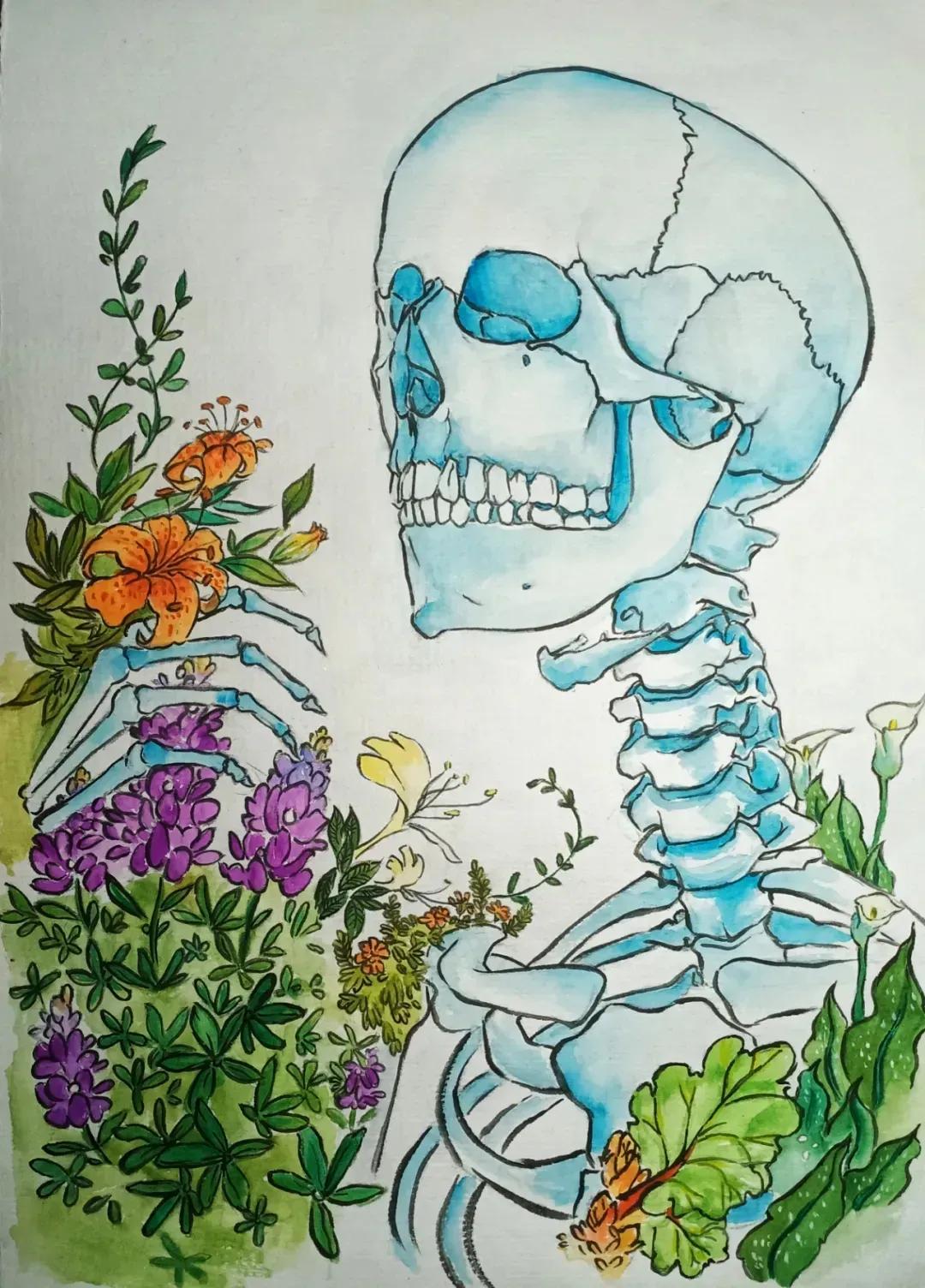 左手丹青，右手手术刀，985名校医学生笔记曝光！网友：这是学神级别的！