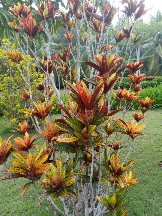 万宁海边的深海,万宁夜晚的海边