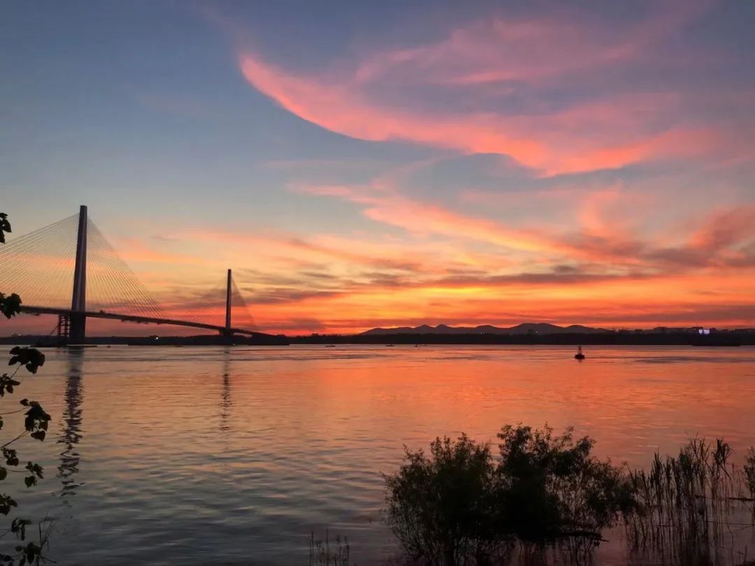 缘分是个妙不可言的东西,缘分是个奇妙的东西完整版