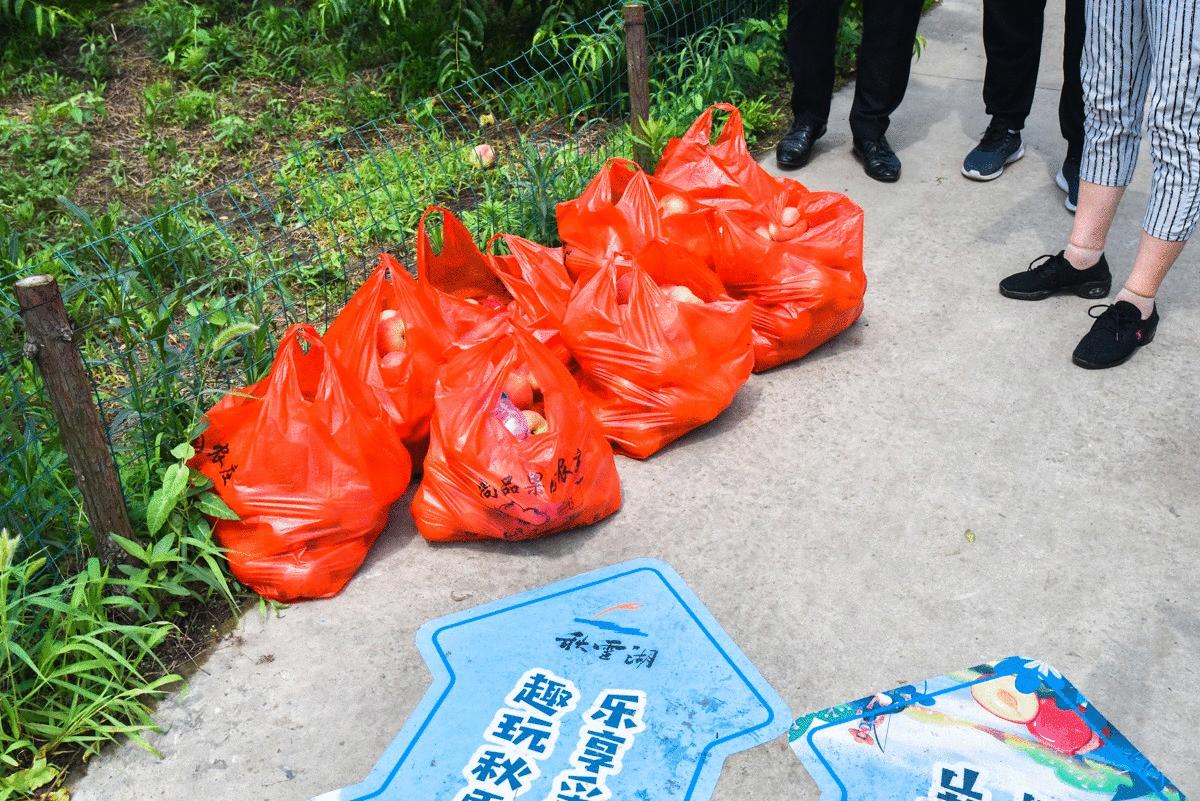 泰州秋雪湖端午节,泰州旅游秋雪湖