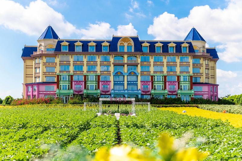 你知道广州有个百万葵园吗?四季都繁花似锦,景色让人流连忘返