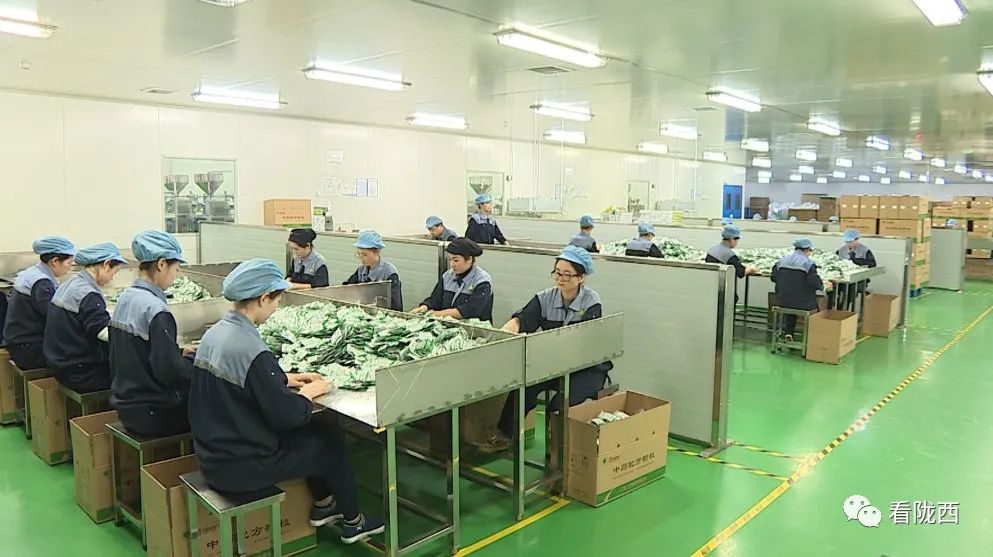 「奋斗十四五奋进新征程」陇西一方制药:中医药质量建设的新高地