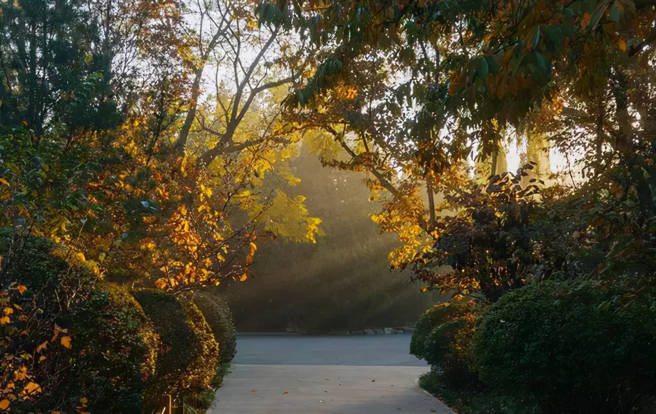 济南适合带娃去的公园,济南适合遛娃的景区