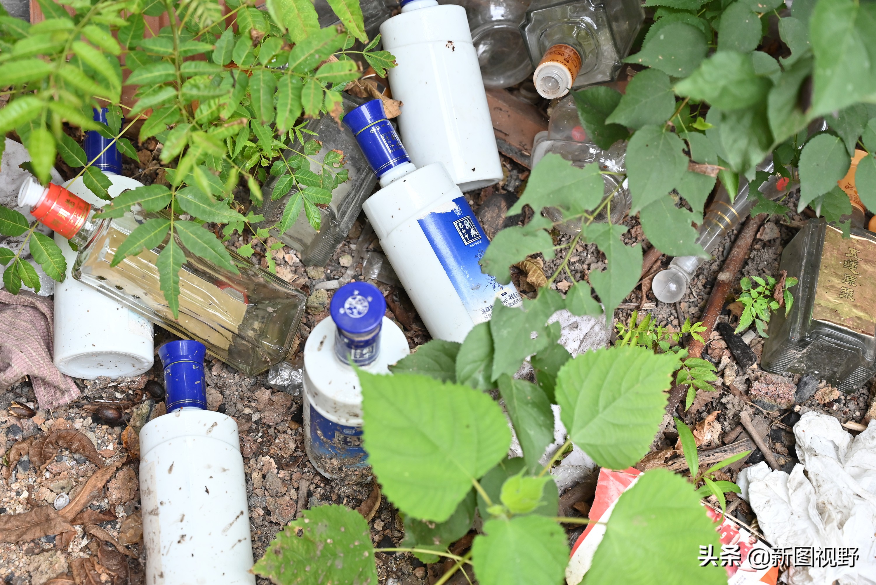 100岁爷爷一日三餐,100岁的爷爷长寿秘诀