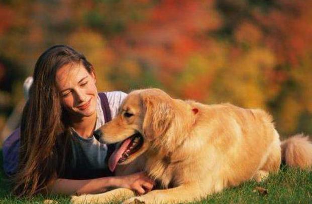 让狗狗开心的六件事｜铲屎官快码住吧