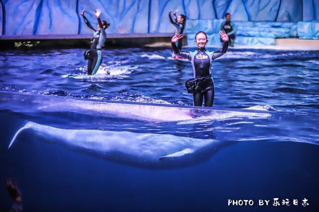 来珠海旅游必打卡的景点,春节珠海亲子游玩地方推荐