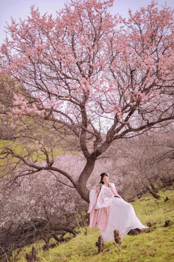 题都城南庄留给了我什么印象,题都城南庄深度解读