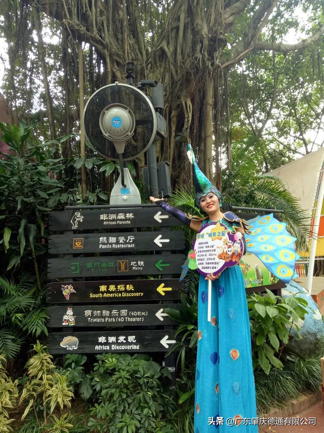 德通风扇-案例分享|广州长隆野生动物园加持德通雾化风扇