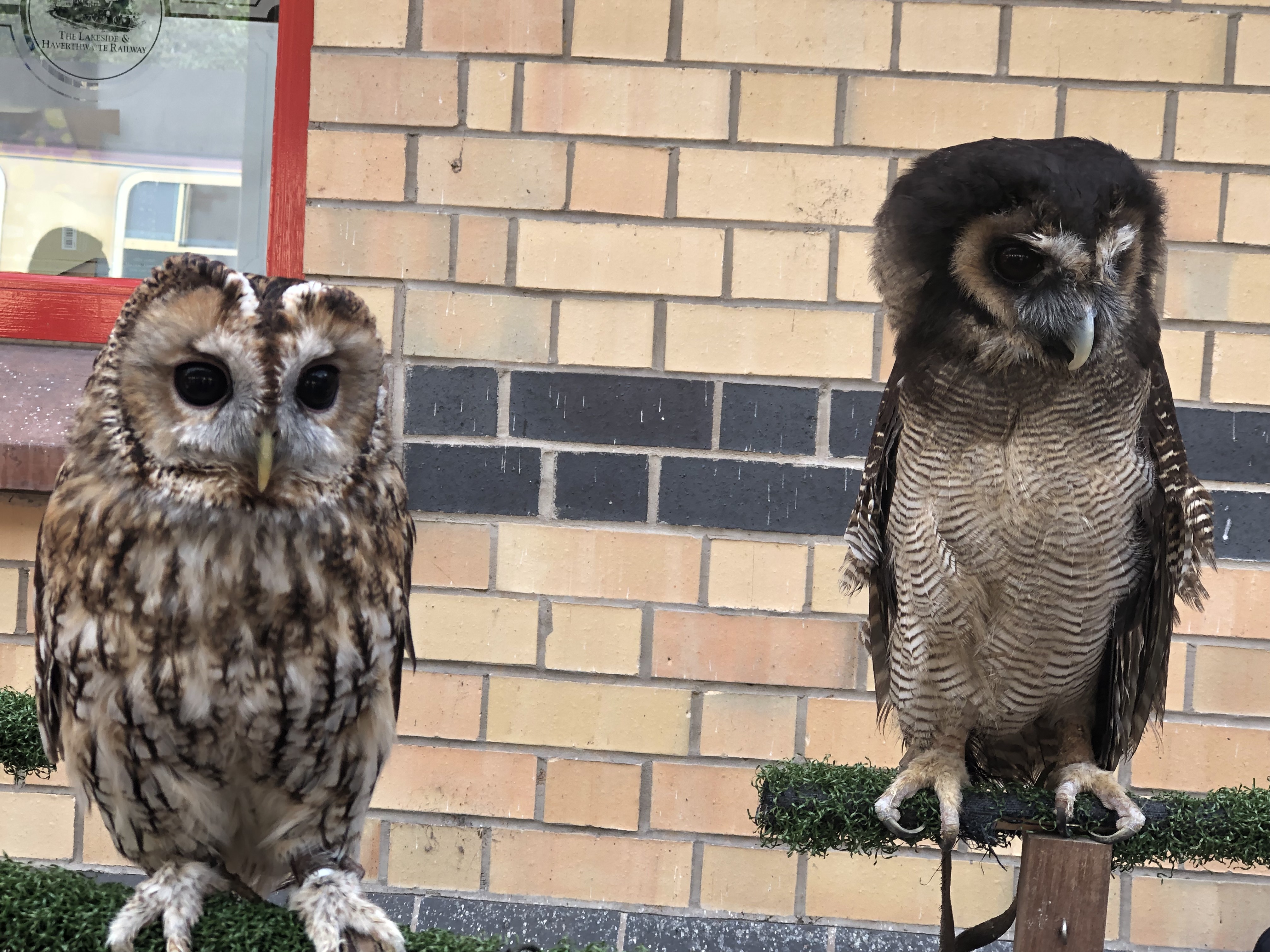 英国12日旅游的行程,英国深度游跟团6日