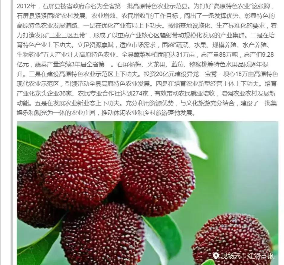 苦干实干出业绩,苦干实干的结果