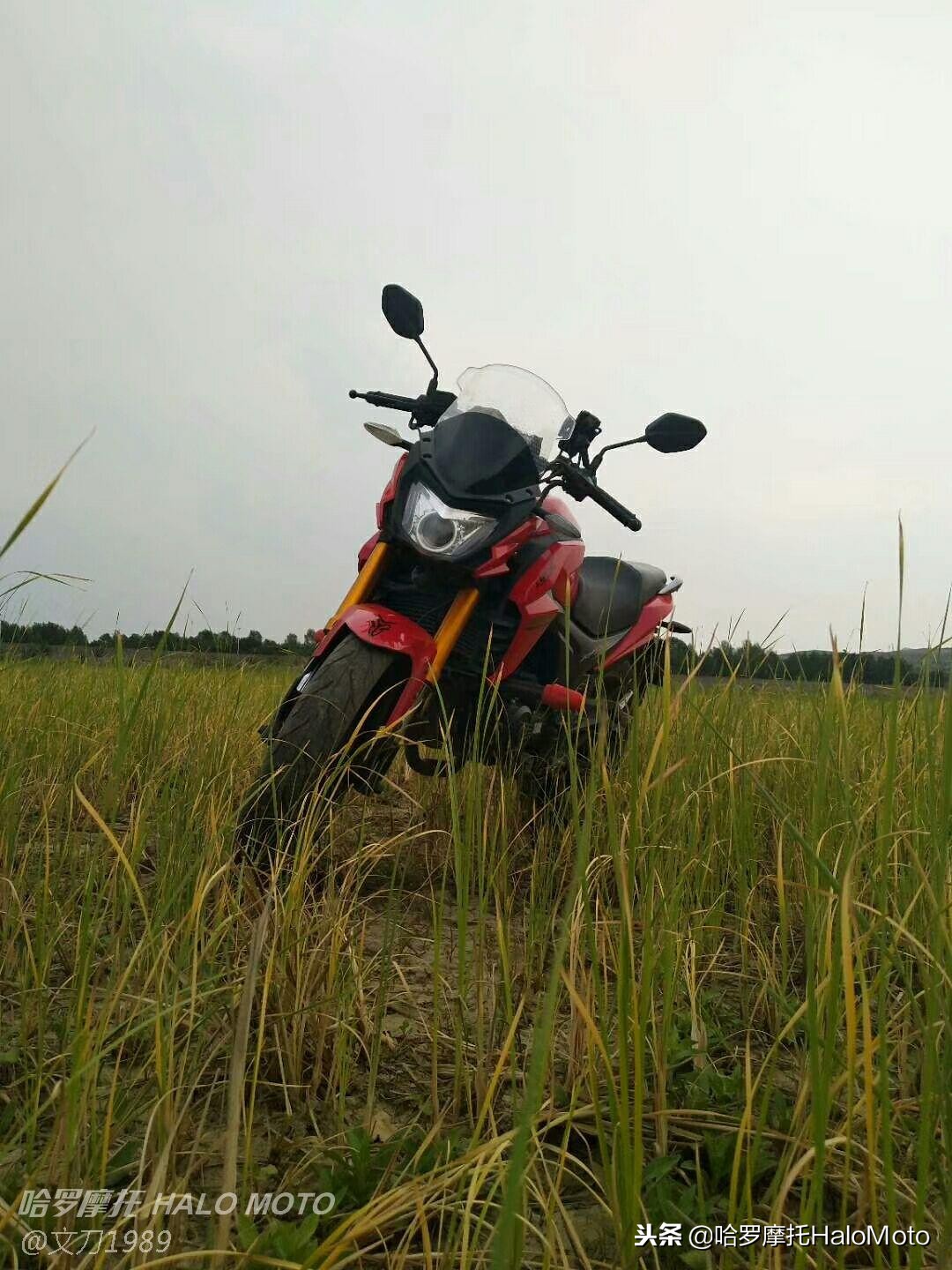 哈啰车评,哈罗评车20期