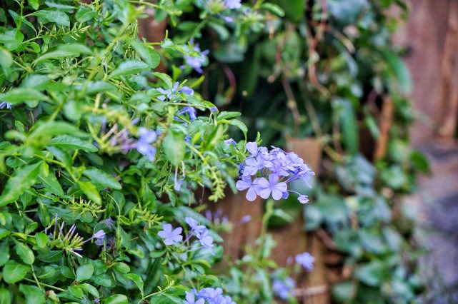 贺州旅游必去十大景点排名,贺州旅游十大最佳景点推荐