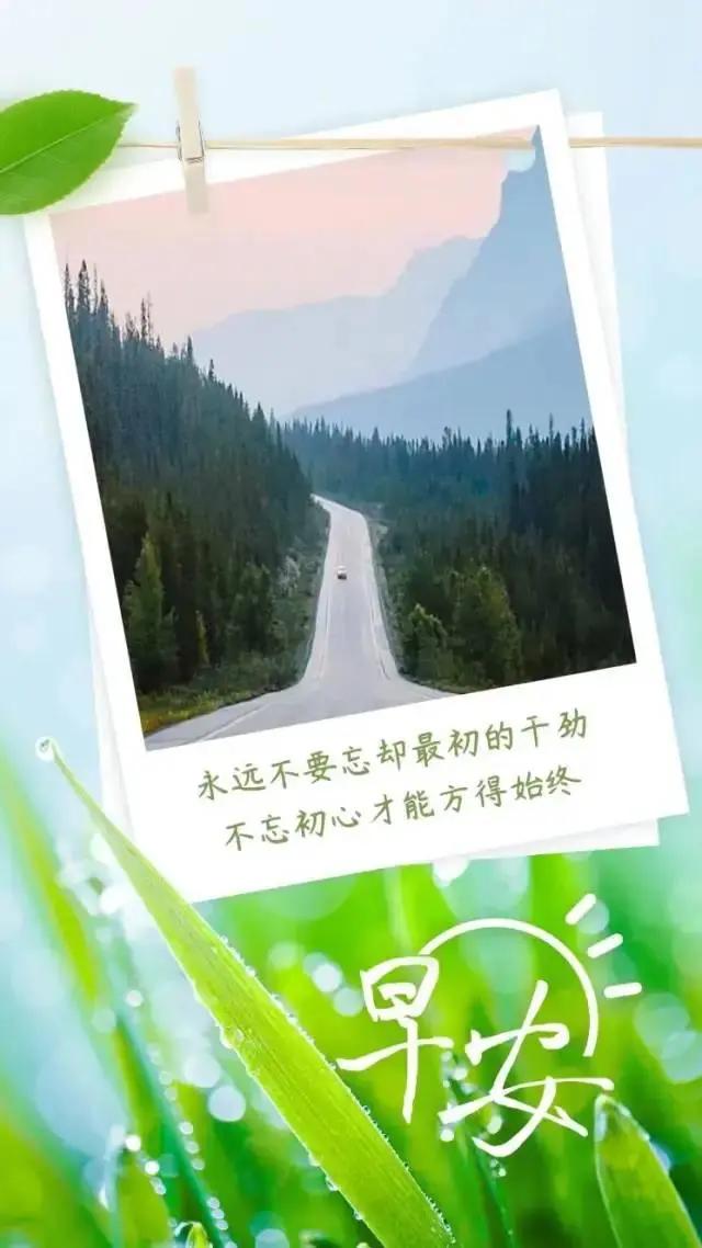 11月21日早安心语正能量句子,2021年早安心语正能量一句话
