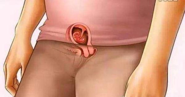 一月到十月怀胎症状,一分钟看懂十月怀胎