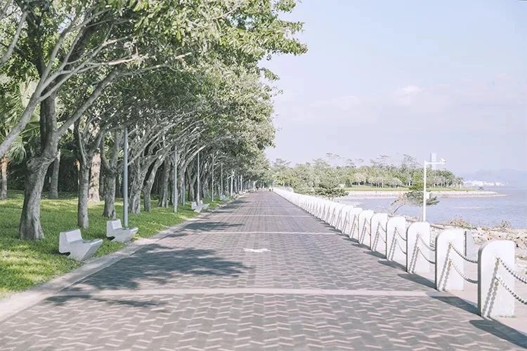 去深圳免费游玩的10个地方,深圳免费游玩景点推荐