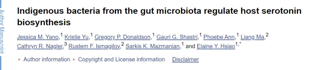 如何释放快乐激素,4种快乐激素