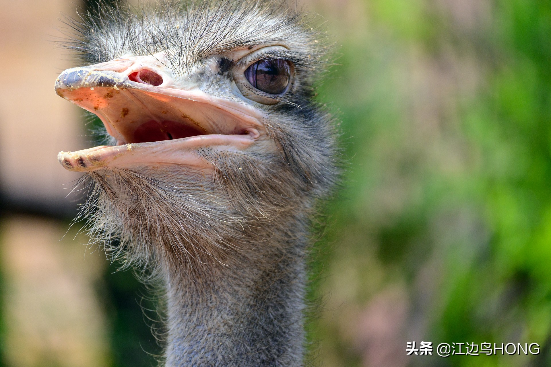 尼康z50双头套机价格,尼康z套机最低价7849