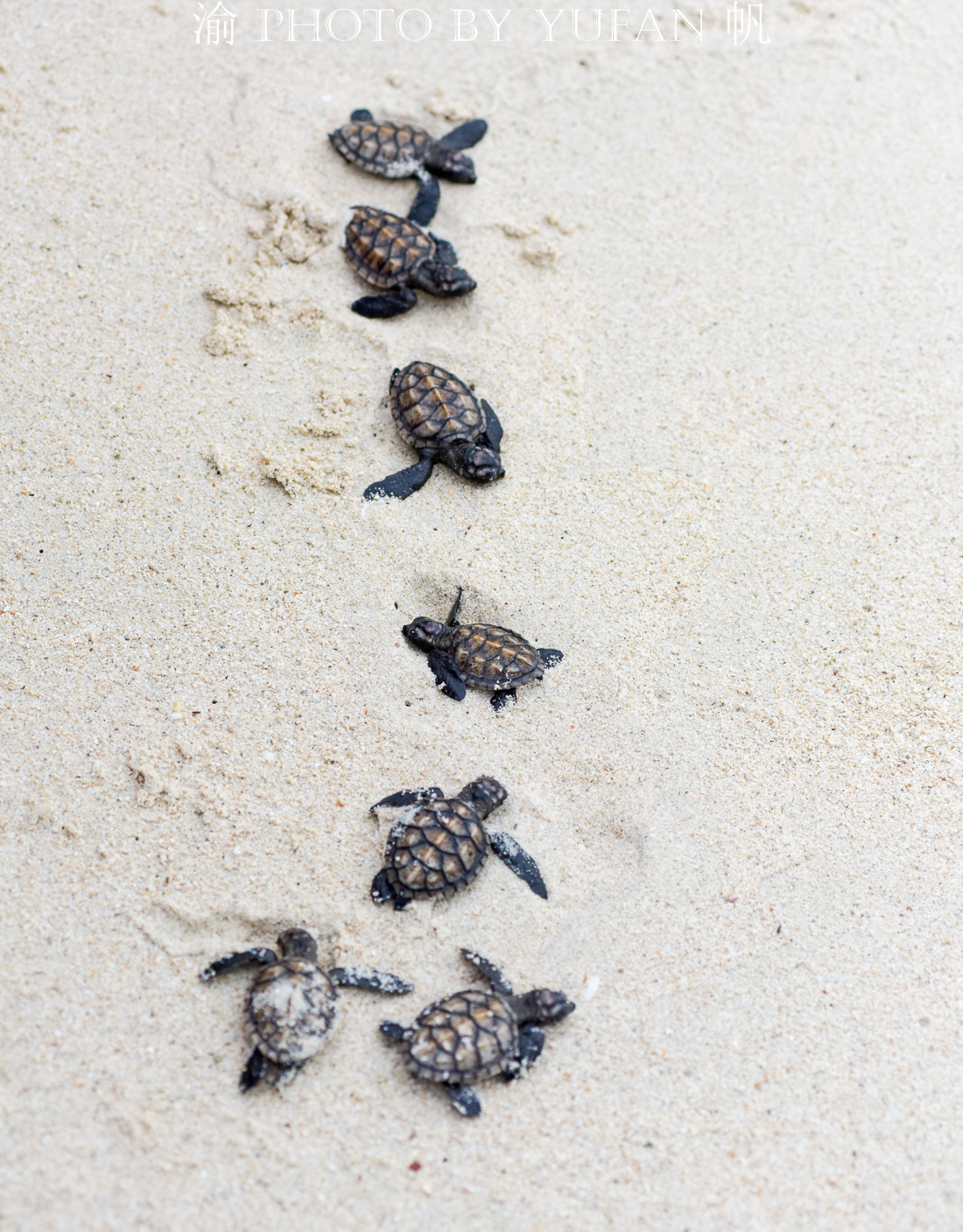 印度尼西亚巴厘岛一日游攻略,巴厘岛与雅加达旅游攻略