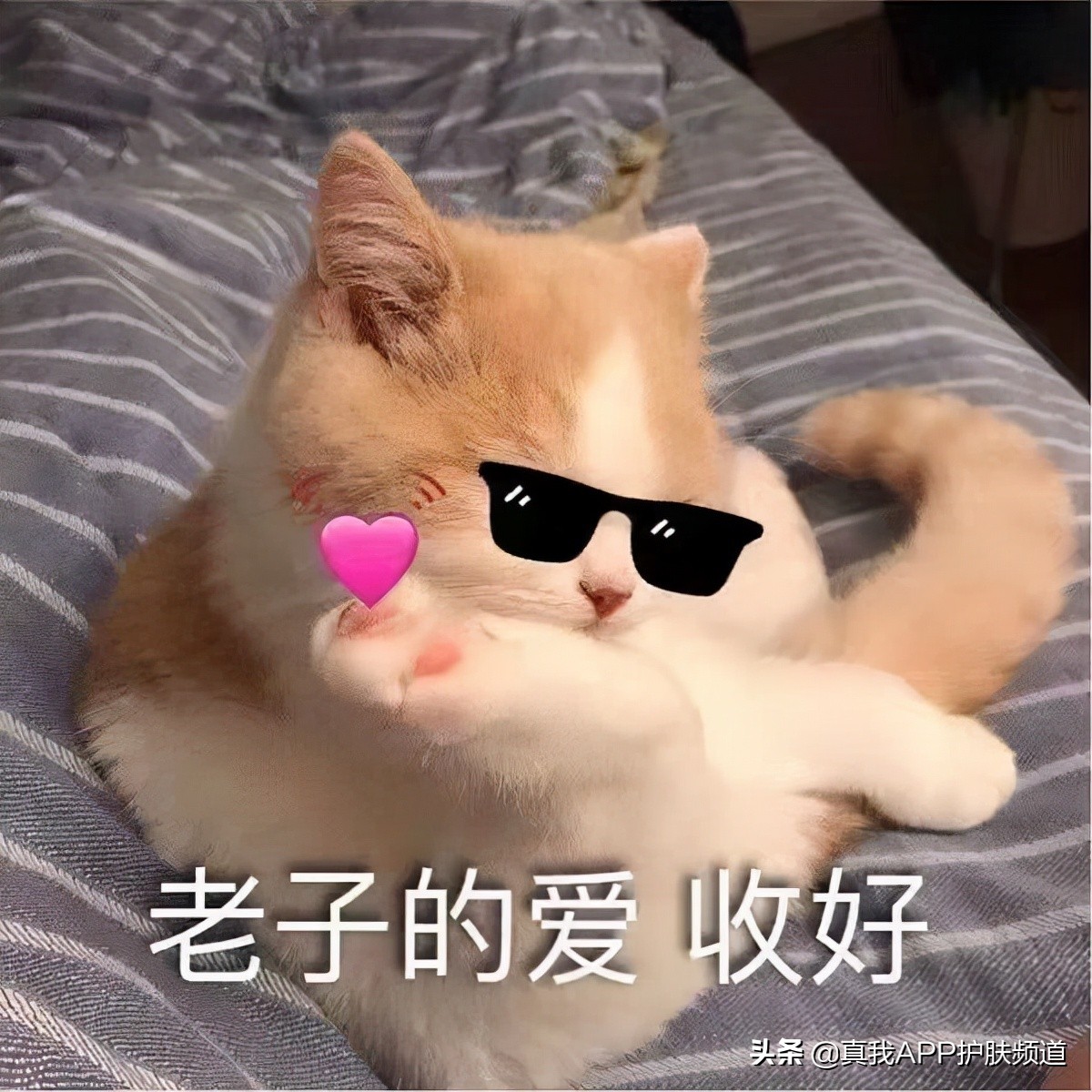 一张脸被毁了怎么办,一张脸被泪沟毁了